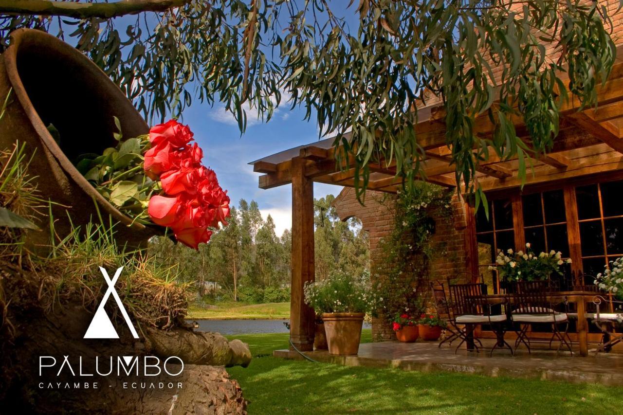 Palumbo Glamping & Villas กายัมเบ ภายนอก รูปภาพ