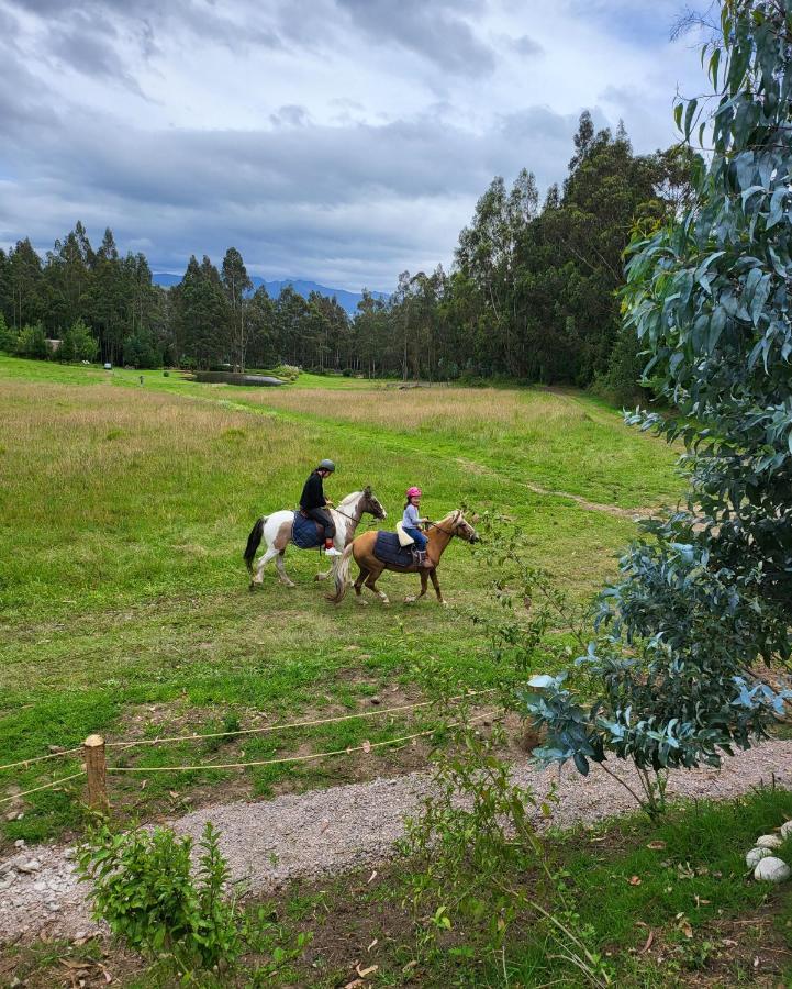 Palumbo Glamping & Villas กายัมเบ ภายนอก รูปภาพ